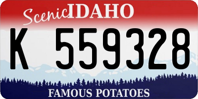 ID license plate K559328