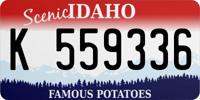 ID license plate K559336