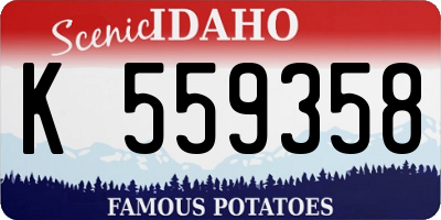 ID license plate K559358