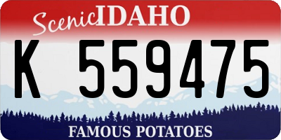 ID license plate K559475