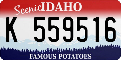 ID license plate K559516