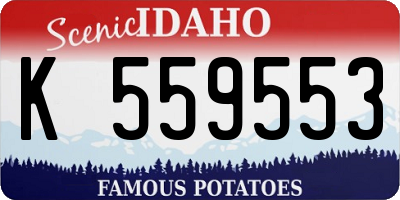 ID license plate K559553