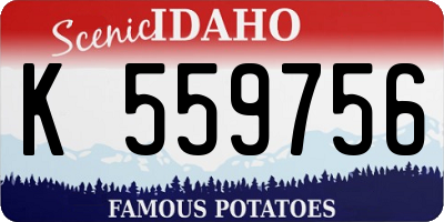 ID license plate K559756