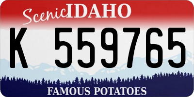 ID license plate K559765