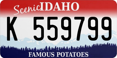 ID license plate K559799