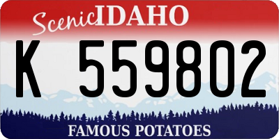 ID license plate K559802