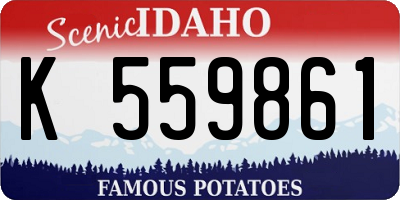 ID license plate K559861