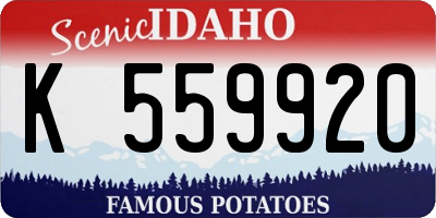 ID license plate K559920