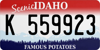 ID license plate K559923