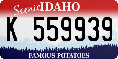 ID license plate K559939
