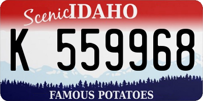 ID license plate K559968