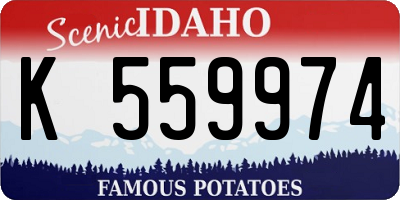 ID license plate K559974