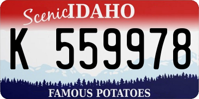 ID license plate K559978