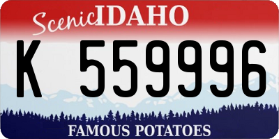 ID license plate K559996