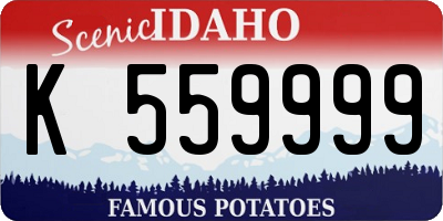ID license plate K559999