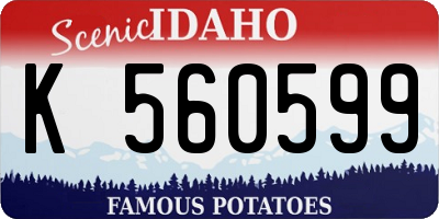 ID license plate K560599