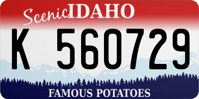 ID license plate K560729