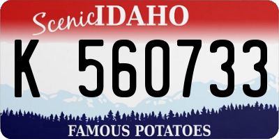 ID license plate K560733