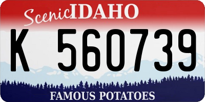 ID license plate K560739
