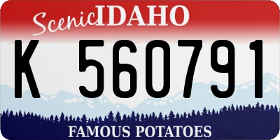 ID license plate K560791