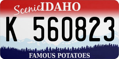 ID license plate K560823