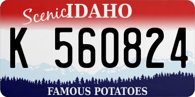 ID license plate K560824