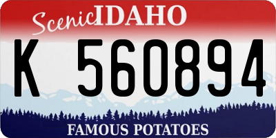 ID license plate K560894