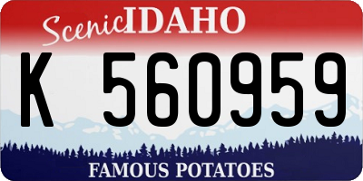 ID license plate K560959