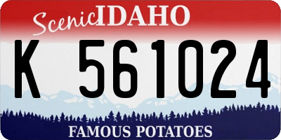 ID license plate K561024