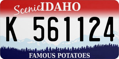 ID license plate K561124