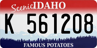 ID license plate K561208