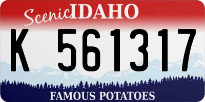 ID license plate K561317