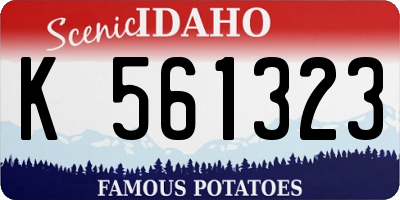ID license plate K561323