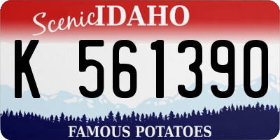 ID license plate K561390