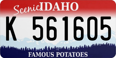 ID license plate K561605