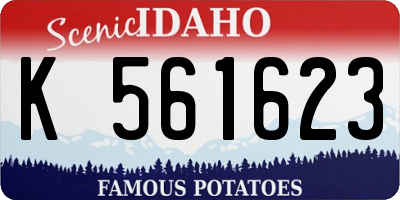 ID license plate K561623