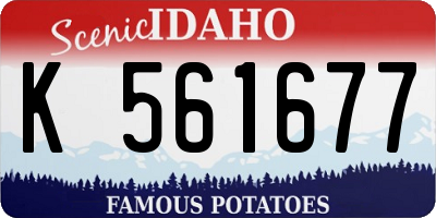 ID license plate K561677