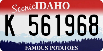 ID license plate K561968