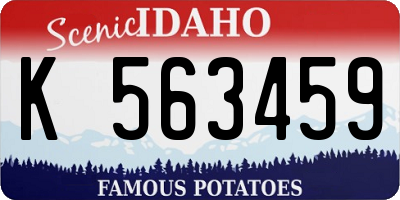 ID license plate K563459