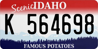 ID license plate K564698