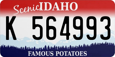 ID license plate K564993