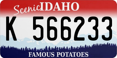ID license plate K566233