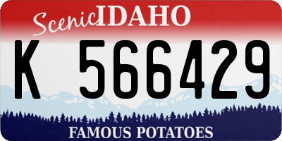 ID license plate K566429