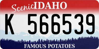ID license plate K566539
