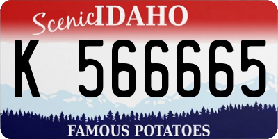 ID license plate K566665
