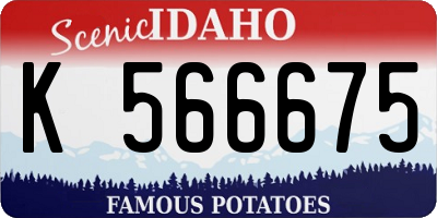 ID license plate K566675