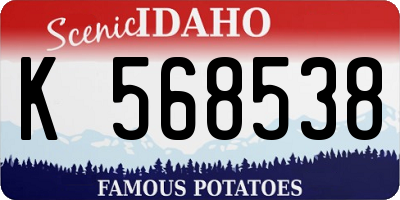 ID license plate K568538