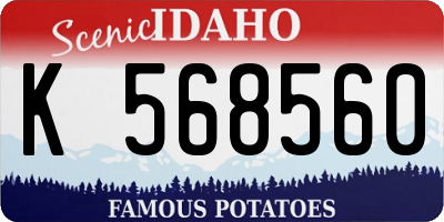 ID license plate K568560