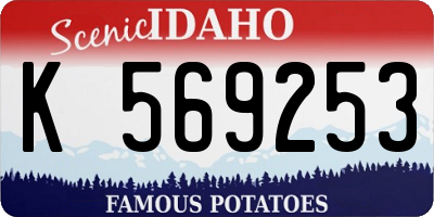 ID license plate K569253