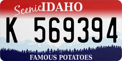 ID license plate K569394